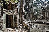 Ta Prohm temple - silk cotton trees rising over the ruins